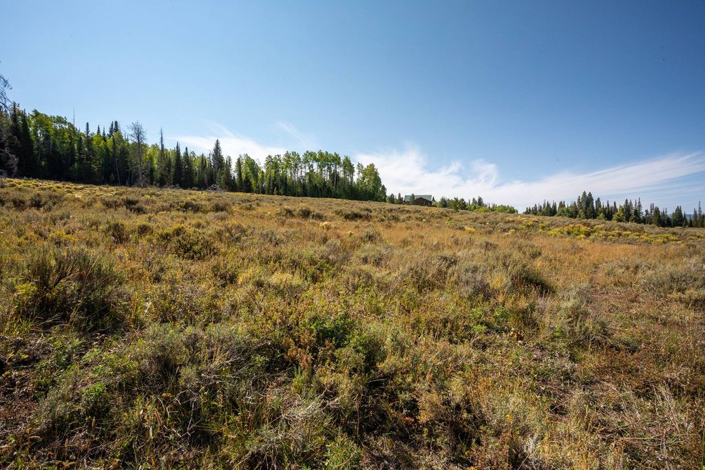 Land in Clark, Routt County