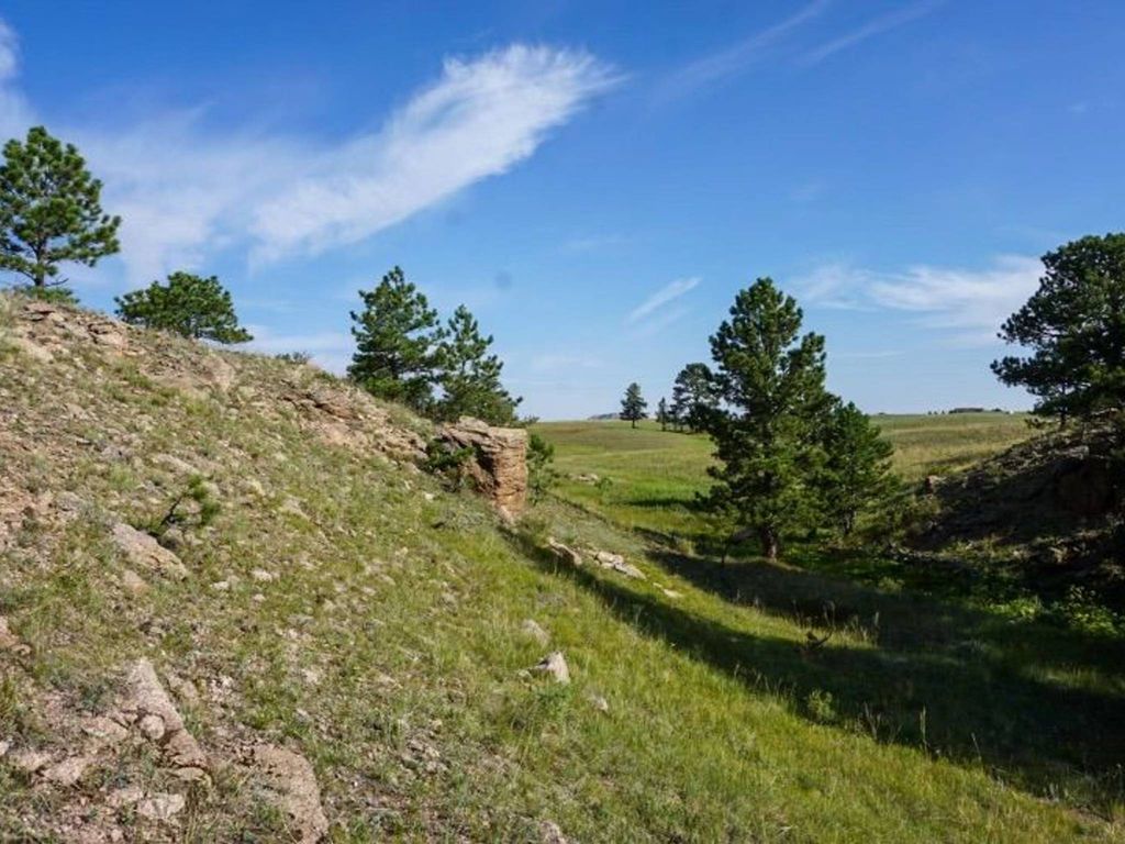 Land in Livermore, Larimer County