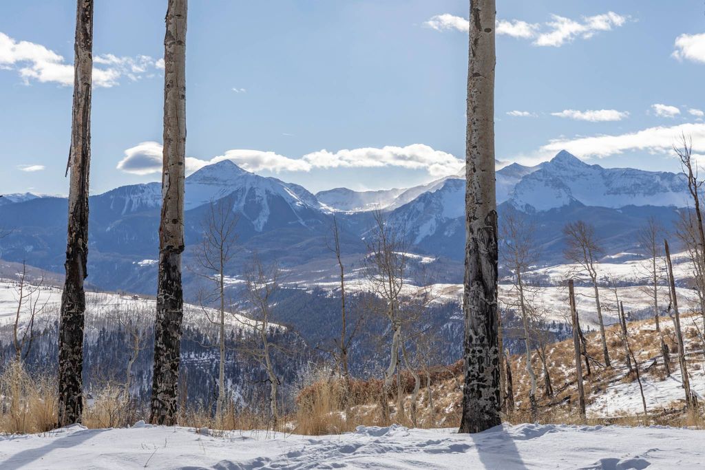 Land in Telluride, San Miguel County