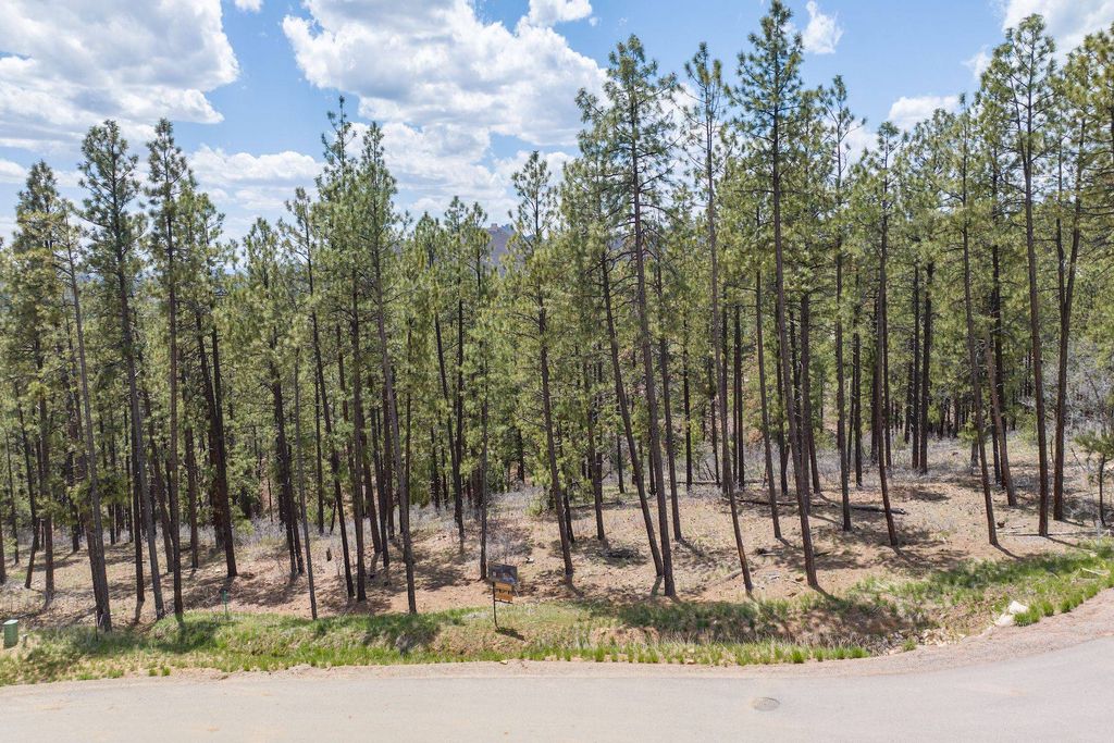 Land in Durango, La Plata County