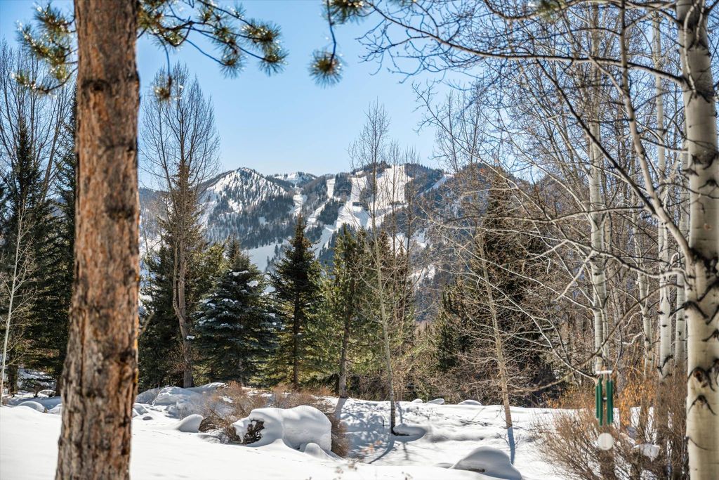 Detached House in Aspen, Pitkin County