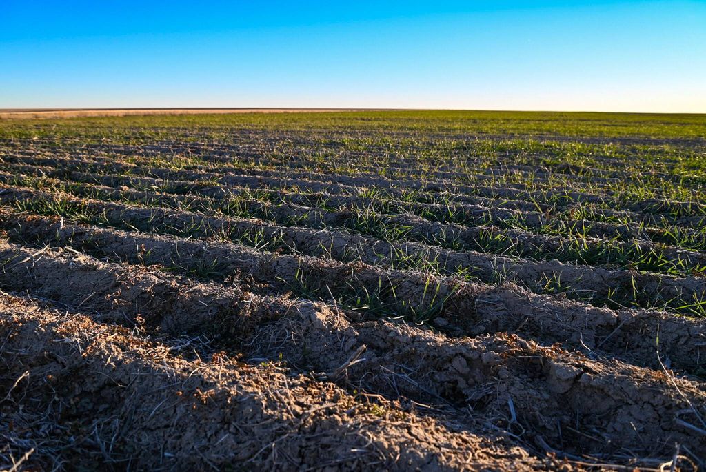 Country House in Haswell, Kiowa County