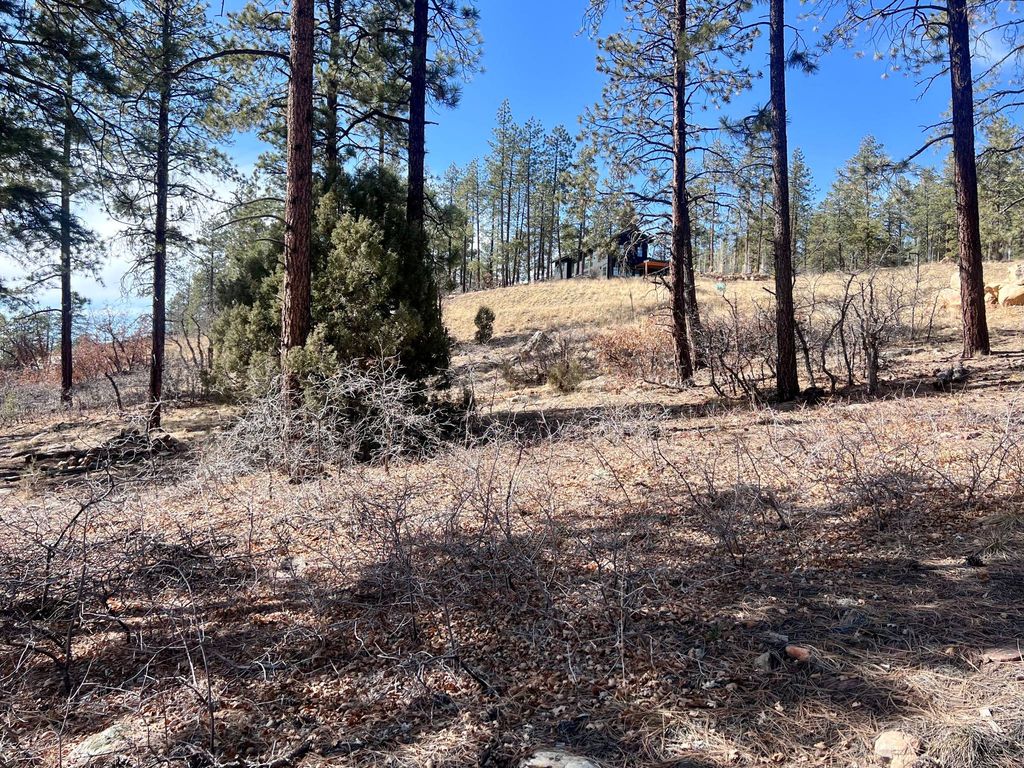 Land in Durango, La Plata County