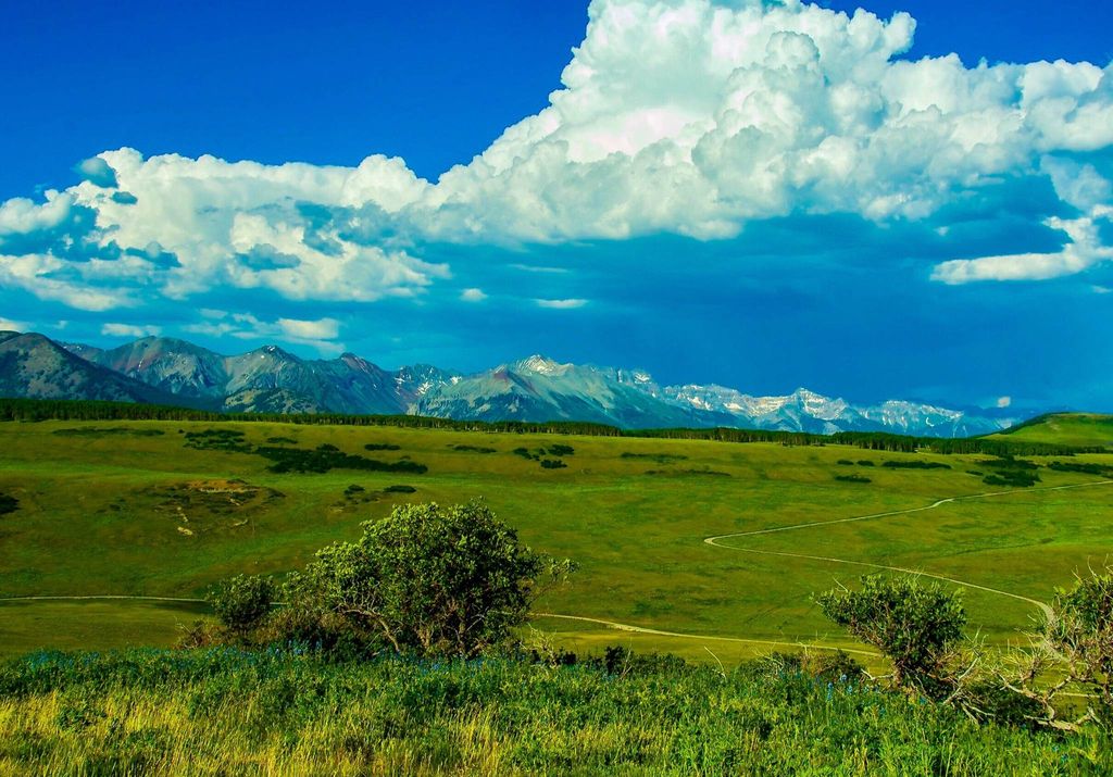 Land in Placerville, San Miguel County