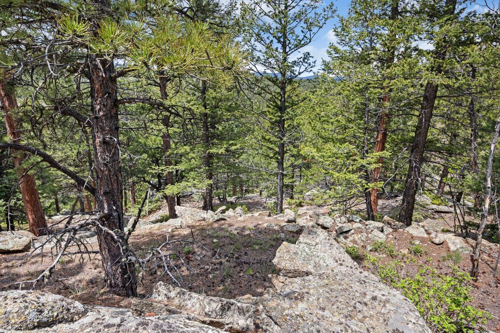 Land in Ward, Boulder County