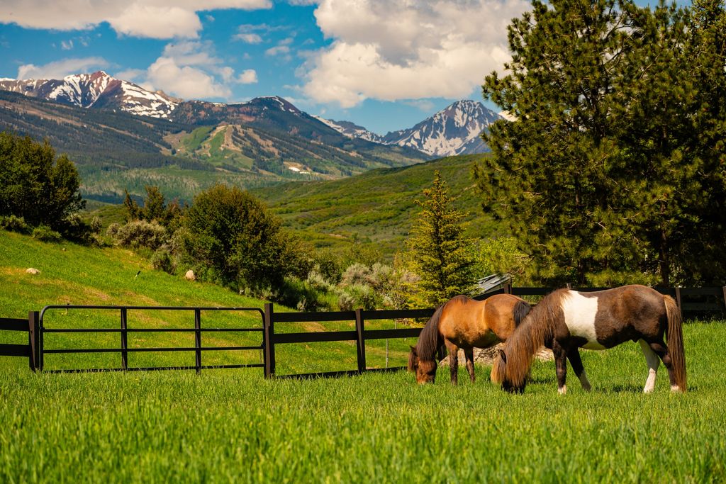 Detached House in Aspen, Pitkin County