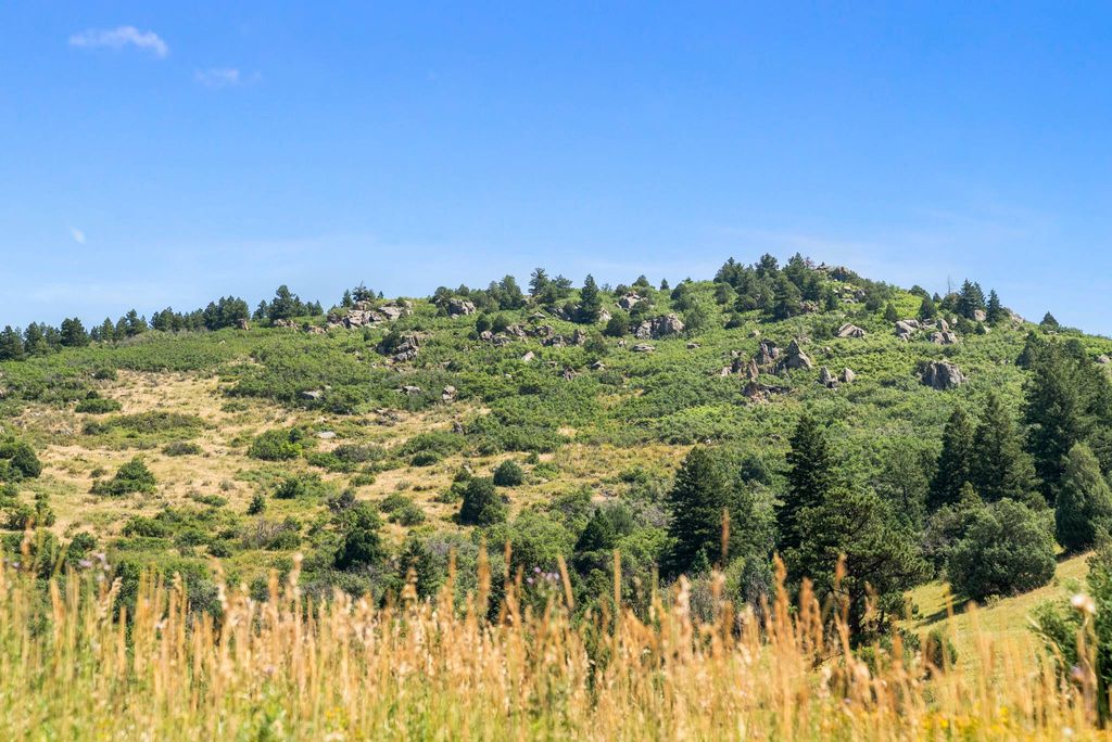 Land in Littleton, Arapahoe County