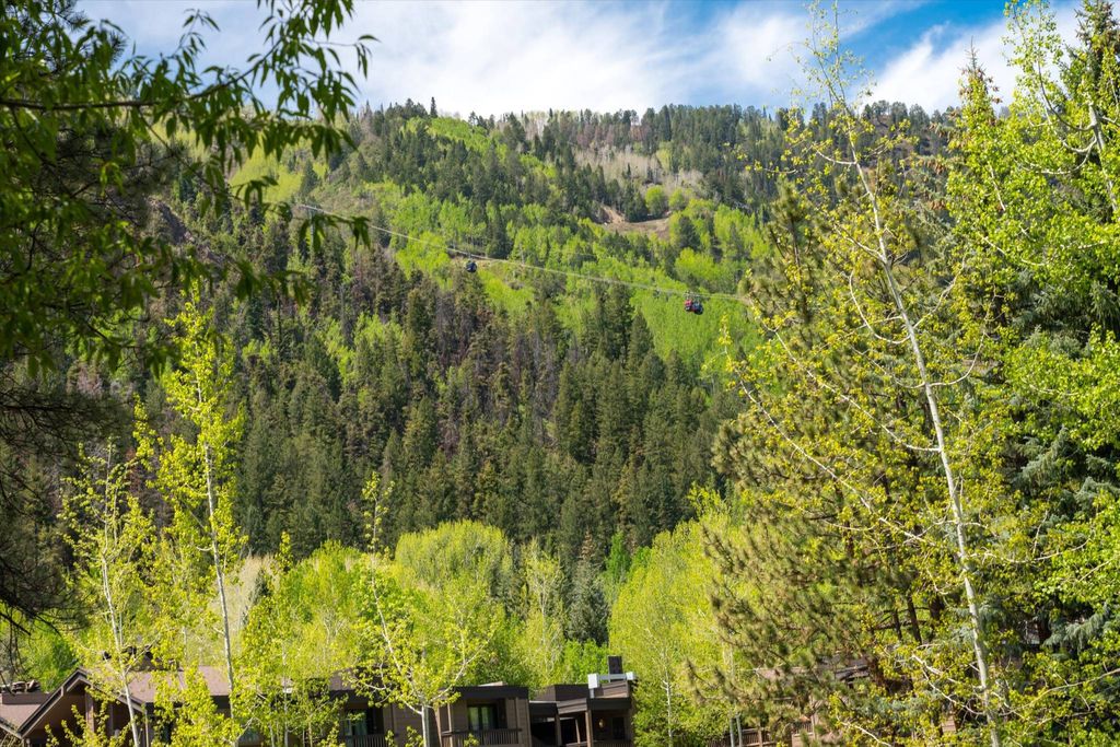 Apartment in Aspen, Pitkin County