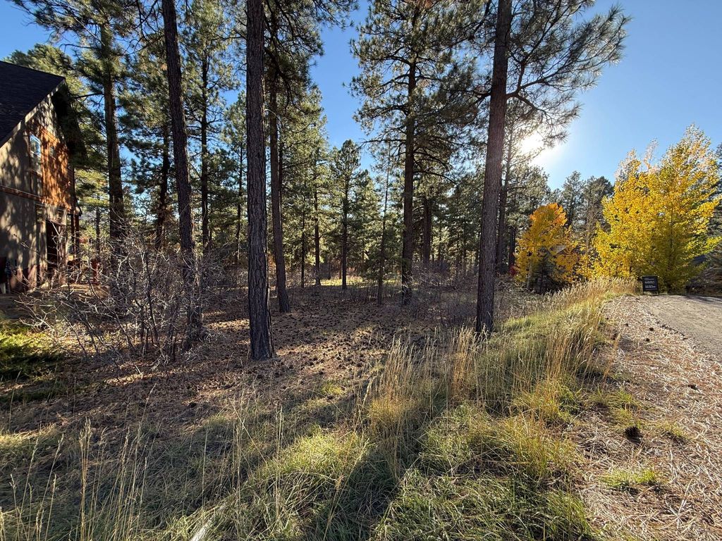 Land in Durango, La Plata County