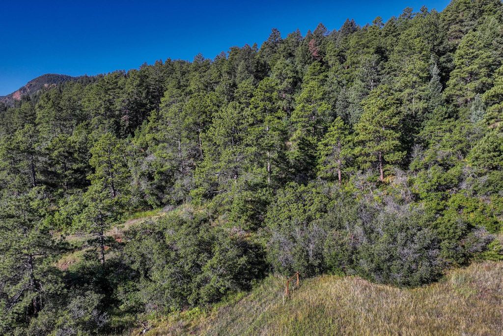 Land in Larkspur, Douglas County