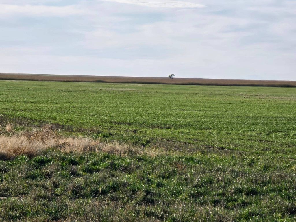 Country House in Haswell, Kiowa County