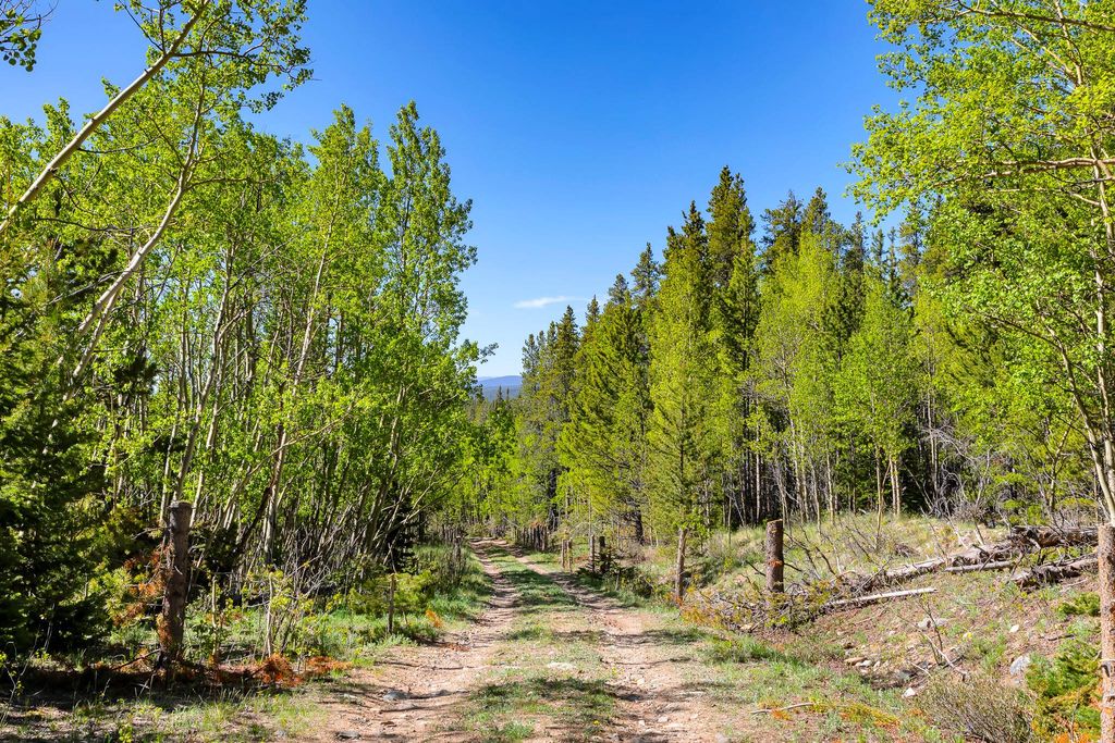 Land in Alma, Park County