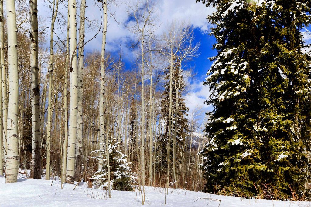 Land in Durango, La Plata County