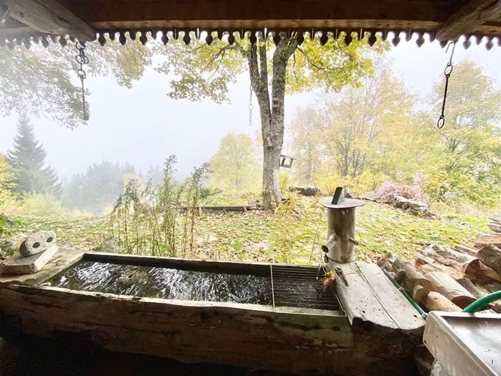 Ski-In/Ski-Out Chalet with Mountain Views