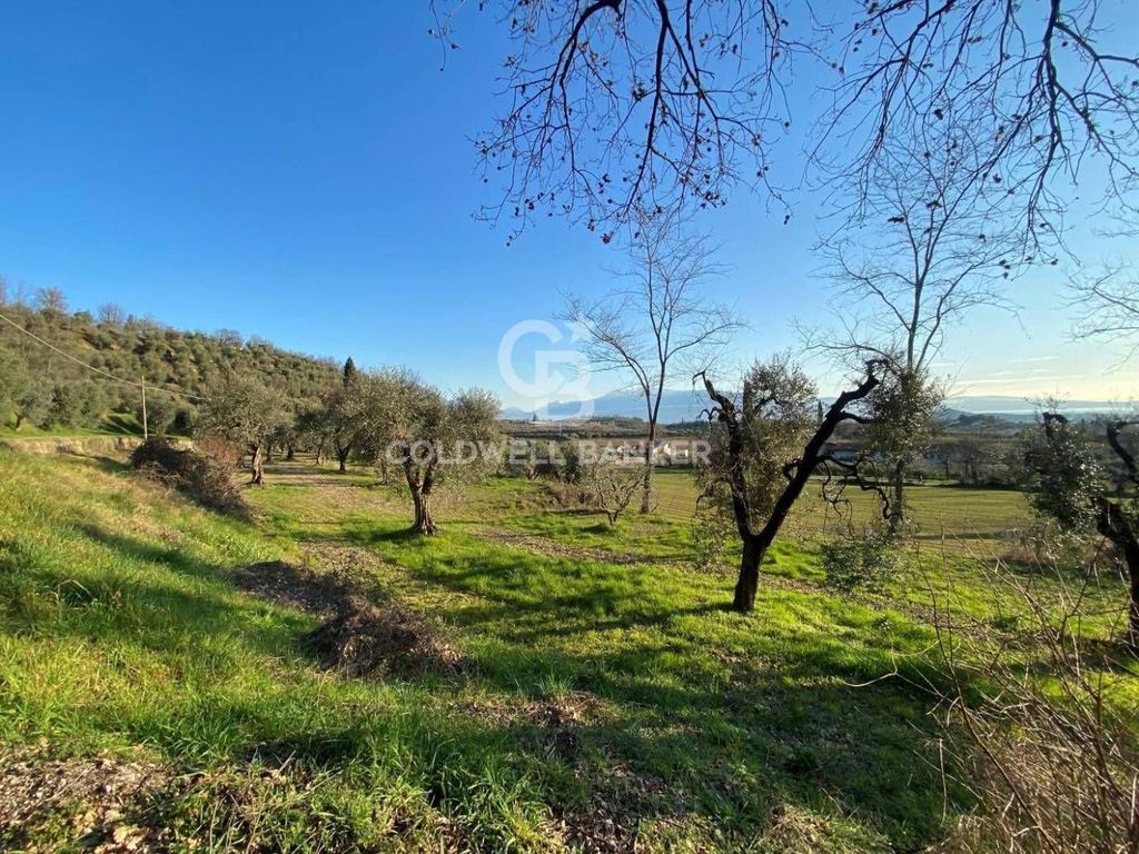 Luxury Home with Lake Views