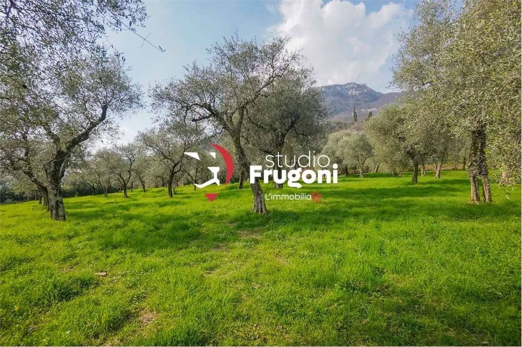 Exclusive Luxury Property with Scenic Views